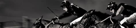 Horse Racing Dataset for Experts (Hong Kong) .